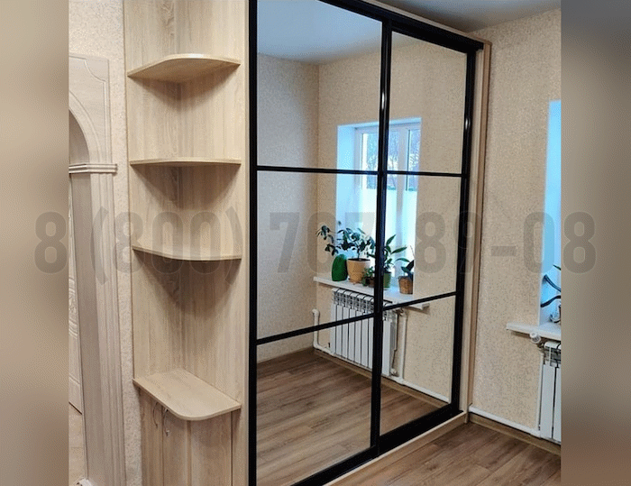 Серебряный шкаф в Долгопрудном